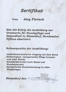 Zertifikat des Hundesalons Fifikus in Düsseldorf über die abgeschlossene Ausbildung von Amy Florack zur Groomerin für Hundepflege und Gesundheit